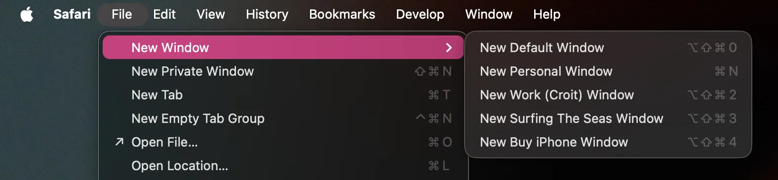 Safari Menubar File → New Window
