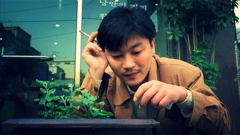 the-day-a-pig-fell-into-the-well-review-1